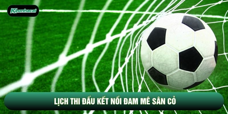 Lịch thi đấu kết nối đam mê sân cỏ